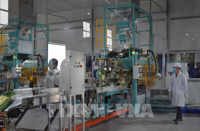 Adelantan panorama positivo de producción en Vietnam para segundo semestre ảnh 1 Adelantan panorama positivo de producción en Vietnam para segundo semestre ảnh 1