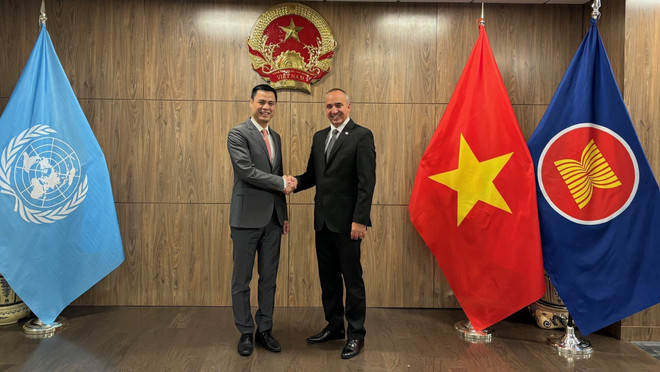 Vietnam y Cuba cooperan estrechamente en importantes procesos de ONU ảnh 1 Vietnam y Cuba cooperan estrechamente en importantes procesos de ONU ảnh 1