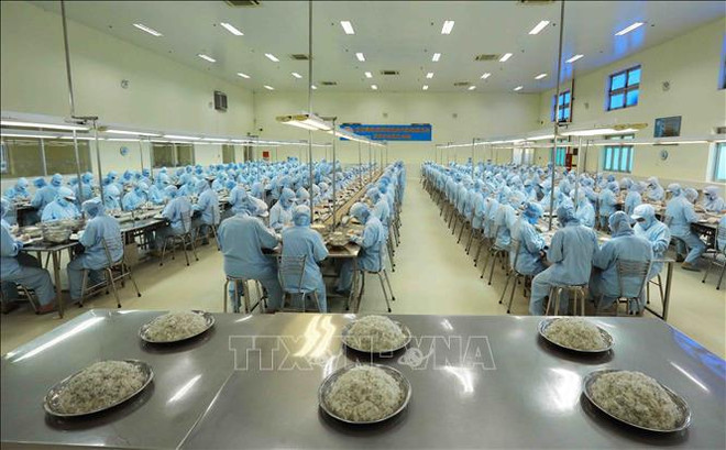 Construcción de marca, responsabilidad común de toda la sociedad ảnh 1 Construcción de marca, responsabilidad común de toda la sociedad ảnh 1