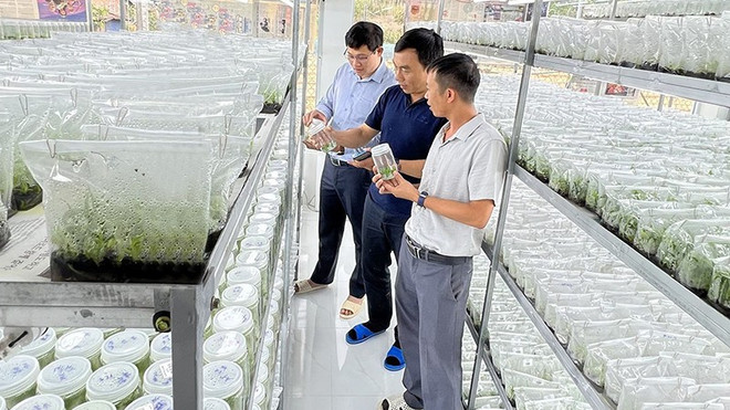 Empresas vietnamitas aceleran transformación digital y verde para lograr avances ảnh 1