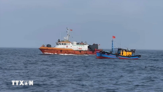 Mejoran conciencia sobre nuevas regulaciones en lucha contra IUU en Vietnam ảnh 1