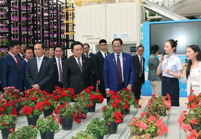 Presidente del Parlamento de Vietnam conoce modelos económicos de provincia de Yunnan ảnh 1