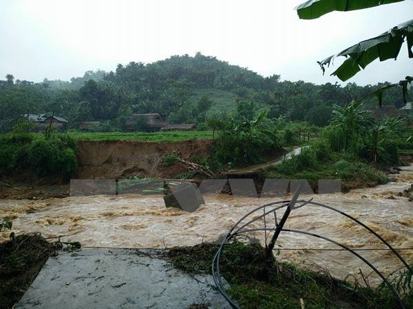 Tifón Dianmu dejó decenas de muertos y heridos en Vietnam ảnh 1 Tifón Dianmu dejó decenas de muertos y heridos en Vietnam ảnh 1
