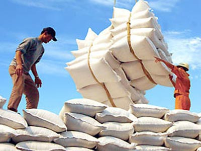 Vietnam busca aumentar exportaciones de arroz de alta calidad ảnh 1 Vietnam busca aumentar exportaciones de arroz de alta calidad ảnh 1
