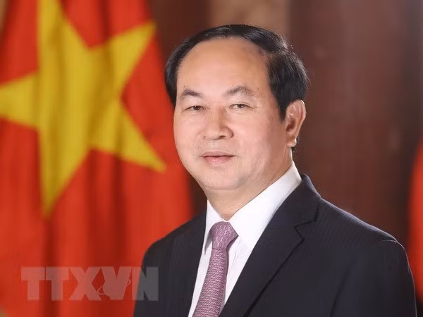 Presidente de Vietnam reitera el significado de su visita estatal a Egipto ảnh 1 Presidente de Vietnam reitera el significado de su visita estatal a Egipto ảnh 1