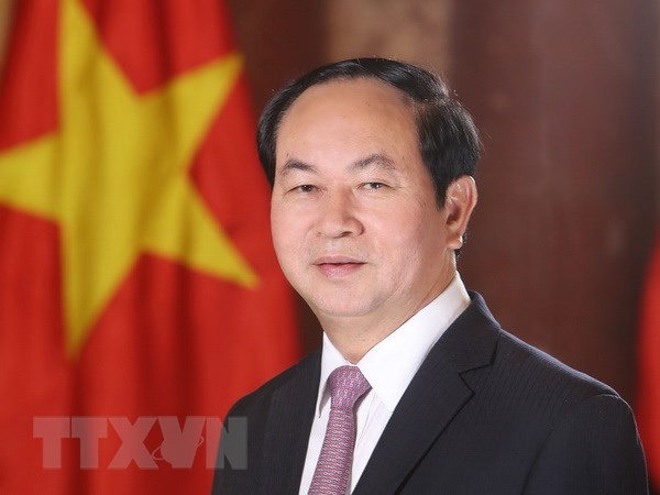 Próxima visita de presidente Dai Quang evidencia que Vietnam prioriza lazos con Egipto ảnh 1