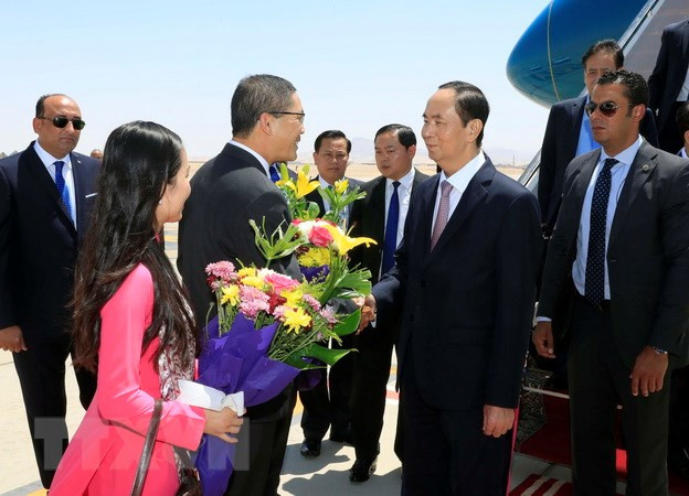 Presidente de Vietnam inicia su visita estatal a Egipto ảnh 1 Presidente de Vietnam inicia su visita estatal a Egipto ảnh 1