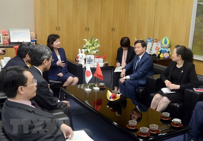 Delegación de la Inspección del Gobierno de Vietnam visita Japón ảnh 1