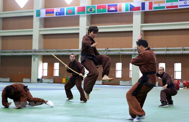 Inauguran en Hanoi Campeonato Internacional de Artes Marciales Tradicionales de Vietnam ảnh 1