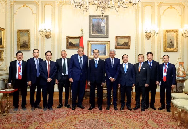 Presidente de Vietnam concluye visita estatal a Egipto ảnh 1