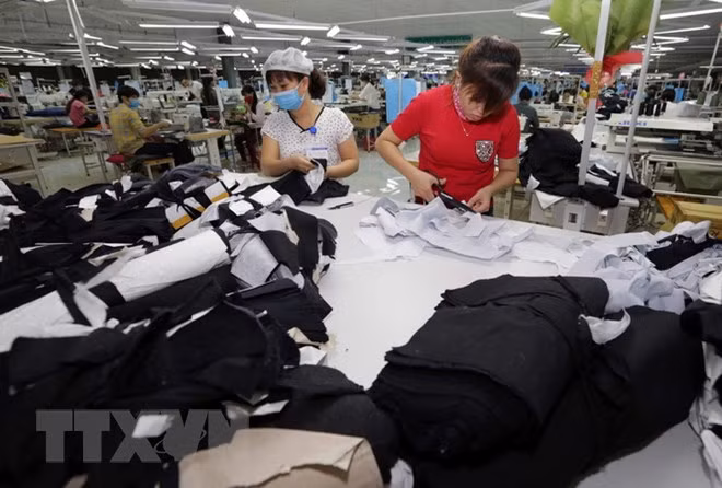 Registran fuerte crecimiento en intercambio comercial Vietnam-India ảnh 1