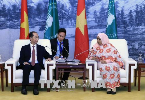 Vietnam concede importancia al fomento de nexos con África, afirma presidente ảnh 1 Vietnam concede importancia al fomento de nexos con África, afirma presidente ảnh 1