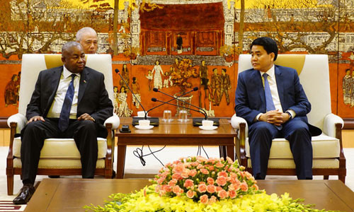 Impulsan cooperación entre Mozambique y Vietnam ảnh 1 Impulsan cooperación entre Mozambique y Vietnam ảnh 1