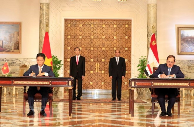 Vietnam y Egipto emiten declaración conjunta ảnh 1 Vietnam y Egipto emiten declaración conjunta ảnh 1