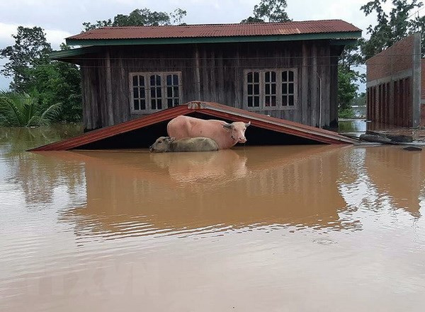 Lluvias e inundaciones causan graves consecuencias en Laos ảnh 1 Lluvias e inundaciones causan graves consecuencias en Laos ảnh 1