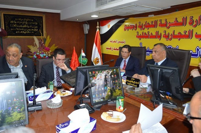 Vietnam y Egipto aspiran fomentar la cooperación multifacética durante visita del presidente Tran Dai Quang ảnh 1 Vietnam y Egipto aspiran fomentar la cooperación multifacética durante visita del presidente Tran Dai Quang ảnh 1