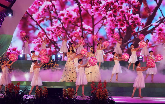 Fuegos artificiales abren festival de “paraíso de las flores” Da Lat ảnh 4 Fuegos artificiales abren festival de “paraíso de las flores” Da Lat ảnh 4