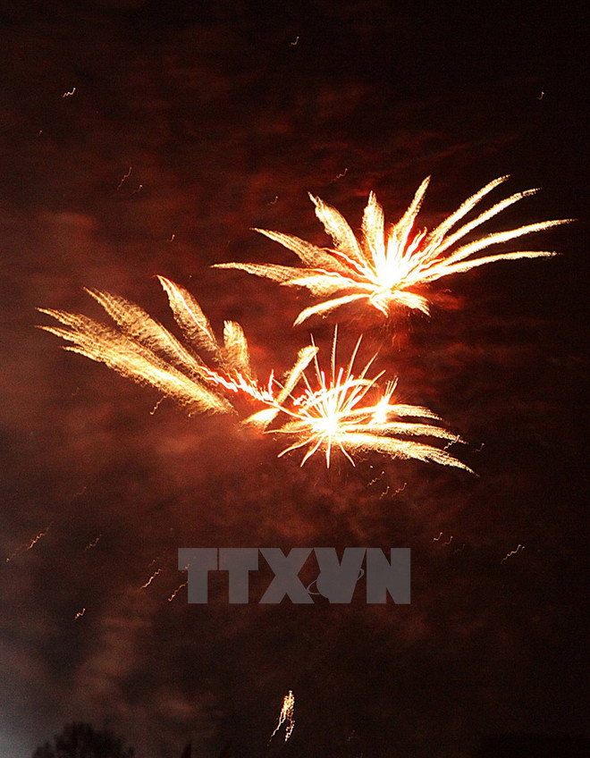 Fuegos artificiales abren festival de “paraíso de las flores” Da Lat ảnh 1 Fuegos artificiales abren festival de “paraíso de las flores” Da Lat ảnh 1