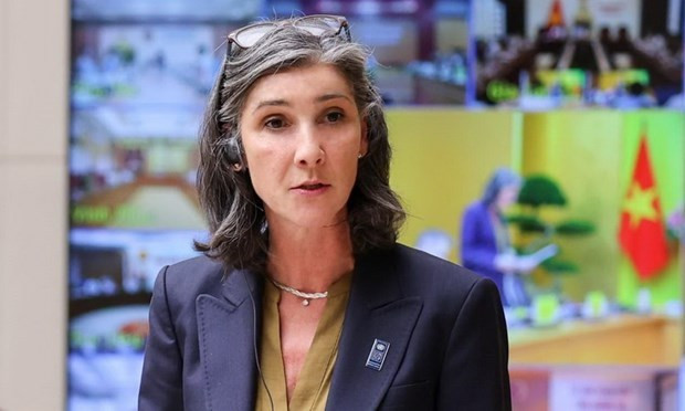 PNUD se compromete a apoyar a Vietnam en transformación de la energía verde ảnh 1