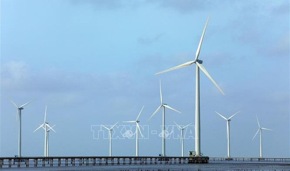 Transición a energías limpias garantizará biodiversidad de Vietnam ảnh 1 Transición a energías limpias garantizará biodiversidad de Vietnam ảnh 1