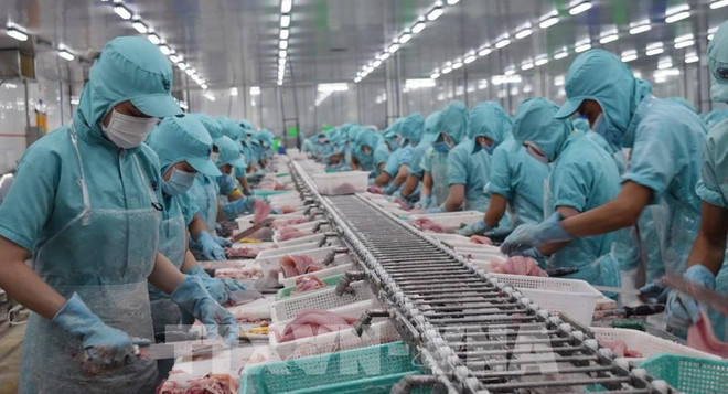 Embajador: 2023 marca avances en relaciones Vietnam-Estados Unidos ảnh 3 Embajador: 2023 marca avances en relaciones Vietnam-Estados Unidos ảnh 3