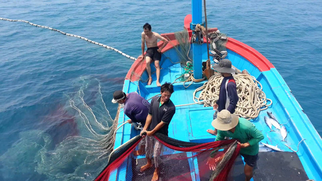 Piden soluciones urgentes para combatir pesca ilegal en Vietnam ảnh 1 Piden soluciones urgentes para combatir pesca ilegal en Vietnam ảnh 1