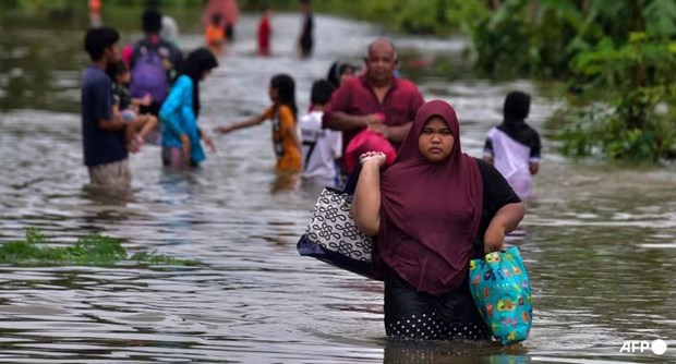 Seis muertos por inundaciones en el sur de Tailandia ảnh 1 Seis muertos por inundaciones en el sur de Tailandia ảnh 1