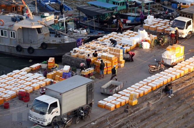 Economía de Vietnam crecerá 6,6 por ciento en 2018, pronostica instituto británico ảnh 1 Economía de Vietnam crecerá 6,6 por ciento en 2018, pronostica instituto británico ảnh 1