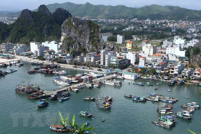 Gobierno de Vietnam pide retrasar la aprobación de proyecto de ley sobre zonas económicas especiales ảnh 1 Gobierno de Vietnam pide retrasar la aprobación de proyecto de ley sobre zonas económicas especiales ảnh 1