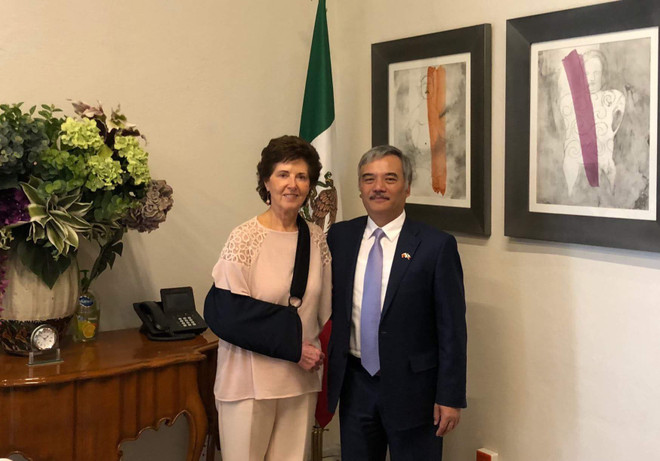 Impulsan cooperación cultural Vietnam-México ảnh 1 Impulsan cooperación cultural Vietnam-México ảnh 1
