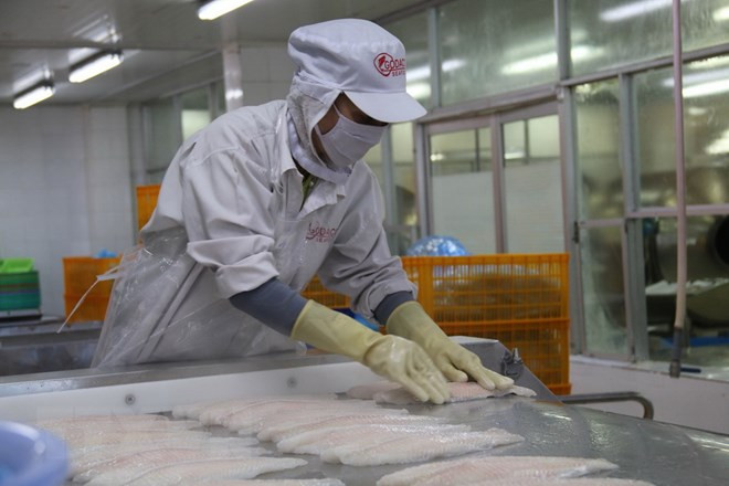 Siguen en tendencia alcista ventas de pescado Tra de Vietnam a Estados Unidos ảnh 1 Siguen en tendencia alcista ventas de pescado Tra de Vietnam a Estados Unidos ảnh 1