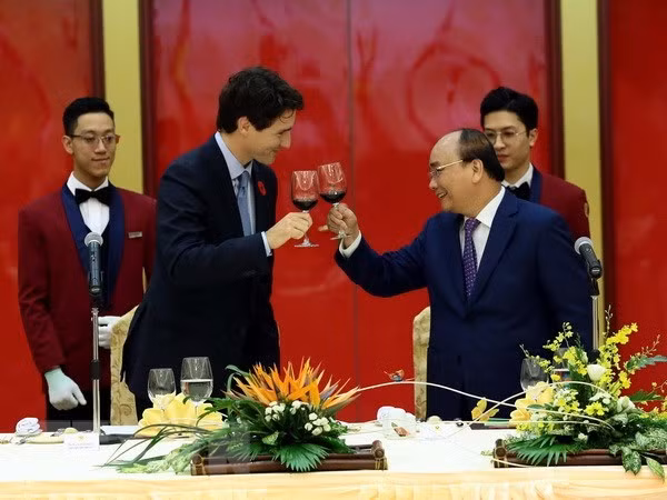 Funcionario canadiense confía en perspectiva de cooperación con Vietnam ảnh 1