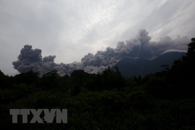 Vietnam expresa su solidaridad con Guatemala tras erupción volcánica ảnh 1 Vietnam expresa su solidaridad con Guatemala tras erupción volcánica ảnh 1