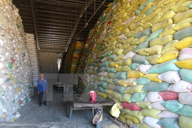 Determina Indonesia importar arroz de Vietnam y Tailandia ảnh 1 Determina Indonesia importar arroz de Vietnam y Tailandia ảnh 1