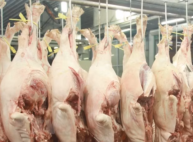 China, mayor mercado receptor de carne de Vietnam&nbsp; ảnh 1