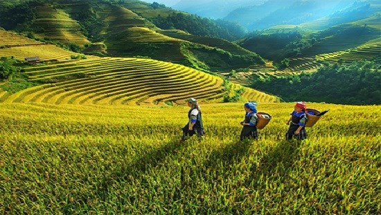 Provincia vietnamita concentra recursos para desarrollo de zonas montañosas y pobladas por minorías étnicas ảnh 1