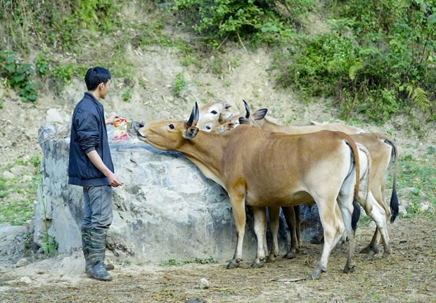 Vietnam y China intercambian experiencias sobre reducción de pobreza ảnh 2