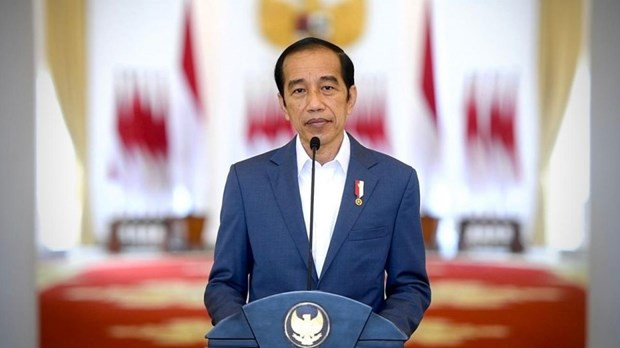 Indonesia asume la presidencia del G20 ảnh 1 Indonesia asume la presidencia del G20 ảnh 1