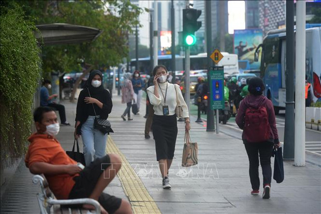 Prohíben organización de las actividades en saludo al nuevo año en Indonesia ảnh 1 Prohíben organización de las actividades en saludo al nuevo año en Indonesia ảnh 1