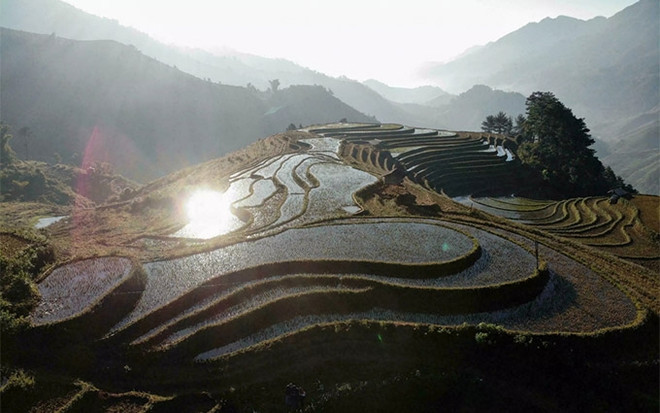 Agencia de noticias francesa resalta belleza de terrazas de arroz de Vietnam ảnh 1 Agencia de noticias francesa resalta belleza de terrazas de arroz de Vietnam ảnh 1