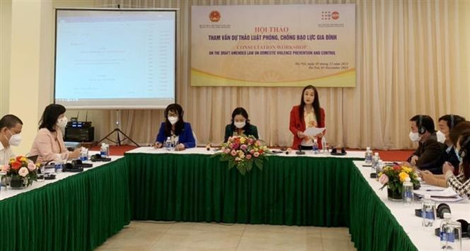 ONU apoya esfuerzos de Vietnam contra violencia doméstica ảnh 1