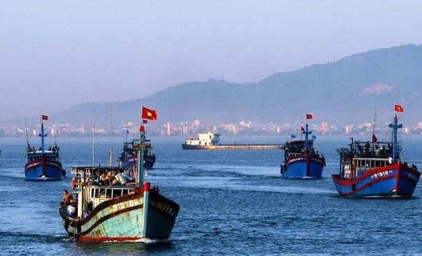 Provincia vietnamita de Ca Mau trabaja por combatir pesca ilegal ảnh 1 Provincia vietnamita de Ca Mau trabaja por combatir pesca ilegal ảnh 1