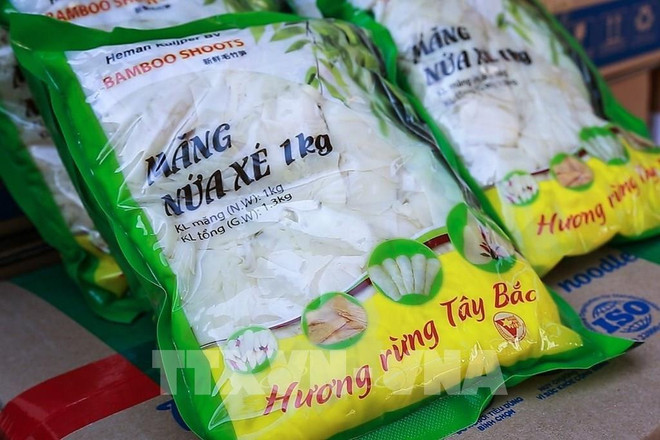 Exporta provincia vietnamita brotes de bambú a los Países Bajos ảnh 1