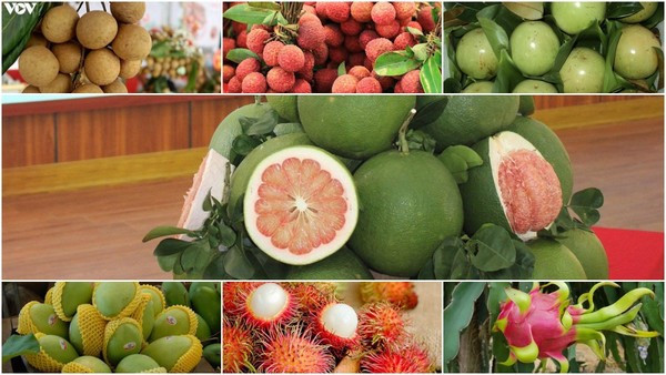 Comercio exterior de Vietnam podría alcanzar nuevo récord en 2022 ảnh 2 Comercio exterior de Vietnam podría alcanzar nuevo récord en 2022 ảnh 2