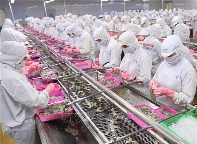 Pronóstico comercial Vietnam-Australia establecerá nuevo récord este año ảnh 1