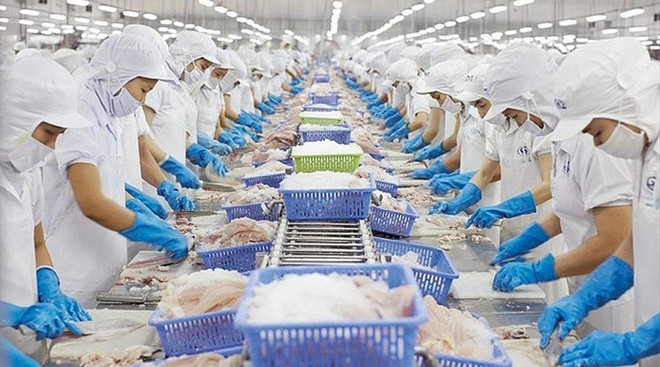 Vietnam entre mayores proveedores de productos acuáticos de Estados Unidos ảnh 1 Vietnam entre mayores proveedores de productos acuáticos de Estados Unidos ảnh 1