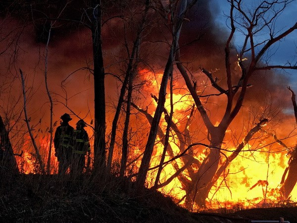 Incendios causan pérdidas por más de 16 mil millones de dólares en Indonesia ảnh 1 Incendios causan pérdidas por más de 16 mil millones de dólares en Indonesia ảnh 1