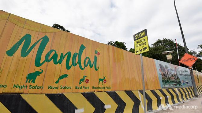Proyecto de ecoturismo provoca contradicciones en Singapur ảnh 1 Proyecto de ecoturismo provoca contradicciones en Singapur ảnh 1