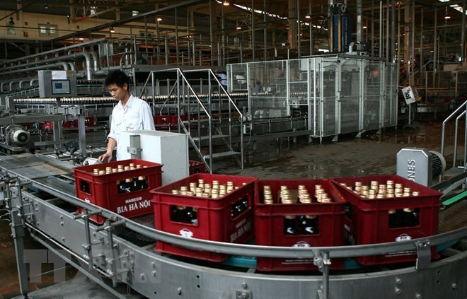 Más de 700 mil empresas operan en Vietnam ảnh 1 Más de 700 mil empresas operan en Vietnam ảnh 1