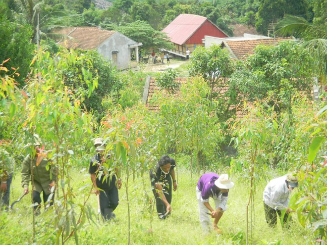 Más de seis mil vietnamitas se benefician del programa UN-REDD ảnh 1 Más de seis mil vietnamitas se benefician del programa UN-REDD ảnh 1